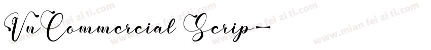 VnCommercial Scrip字体转换